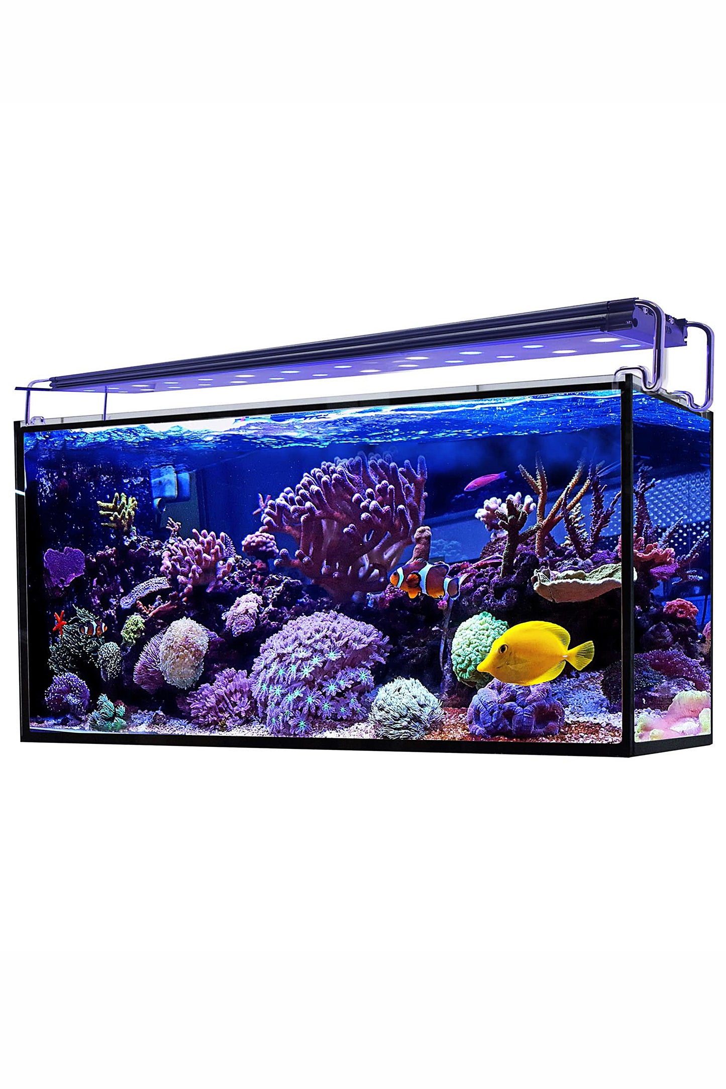 AquaOcean Hydra Meeresaquarium 240 Liter