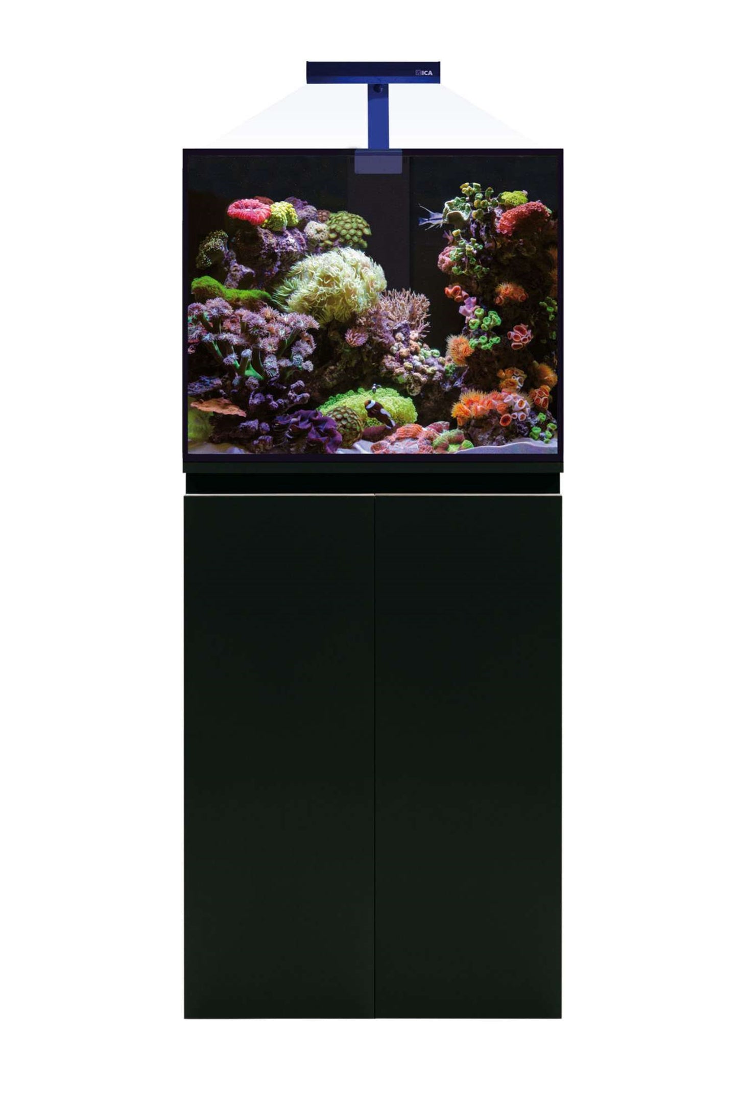 Acuario Marino con Sump AquaOcean PRO de 163 litros - Iluminación MarineLamp LED