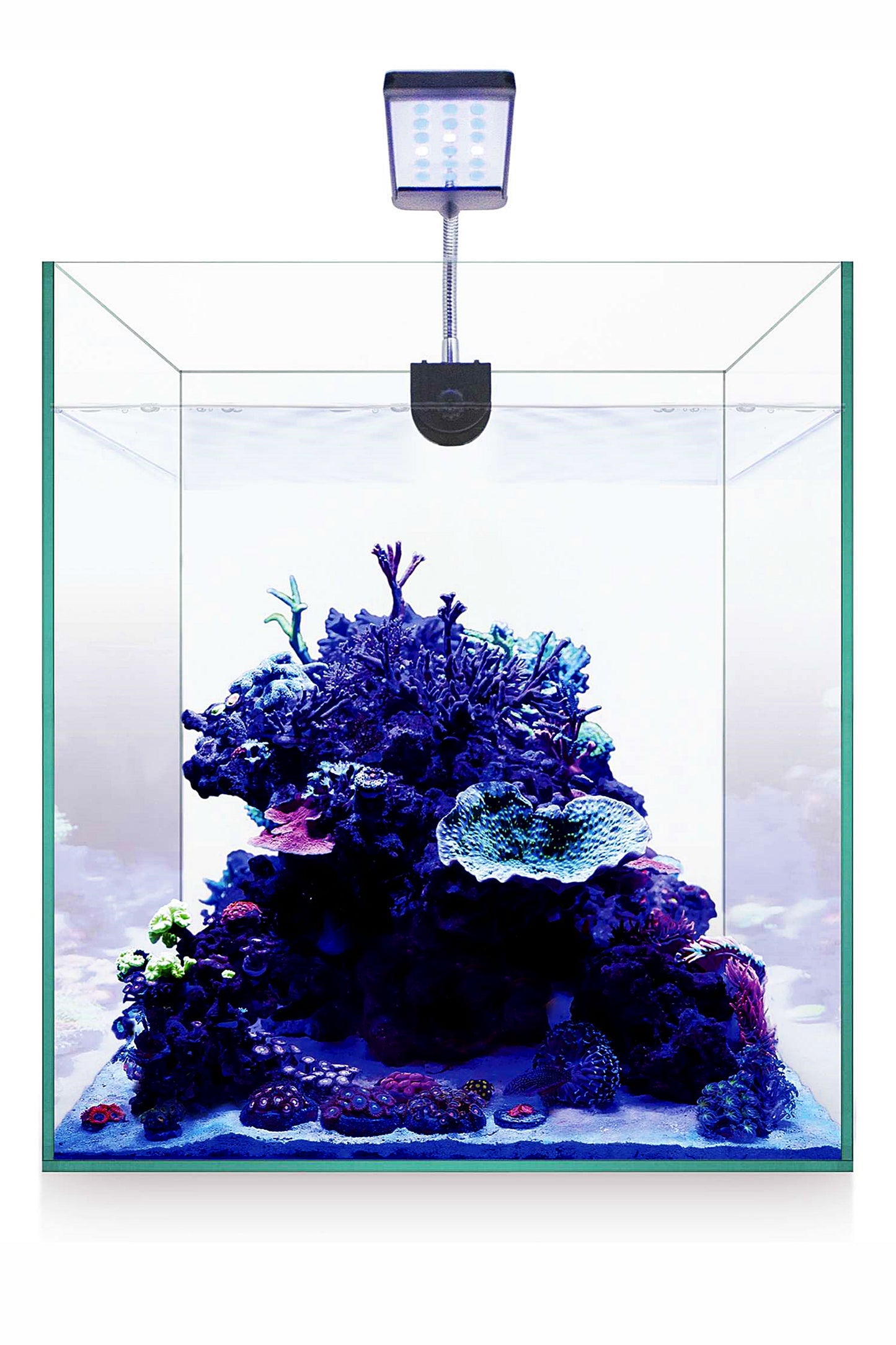 Aquarium-Set Nano Marine 30 (28 Liter)