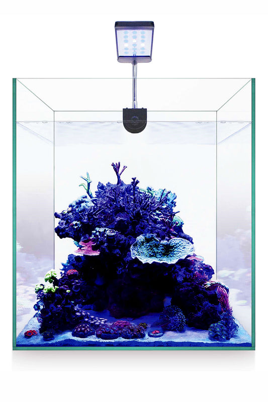 Acuario Kit Nano Marine 30 (28 litros)