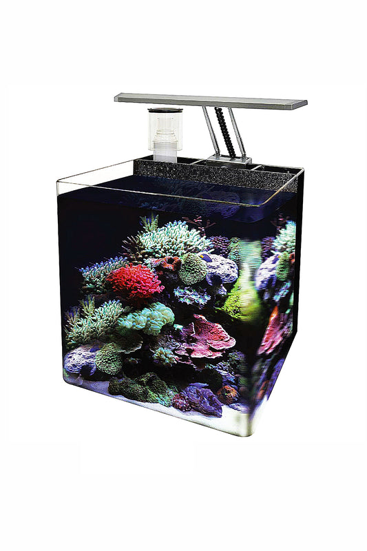 Nano Acuario Marino OceanFree (16 litros)