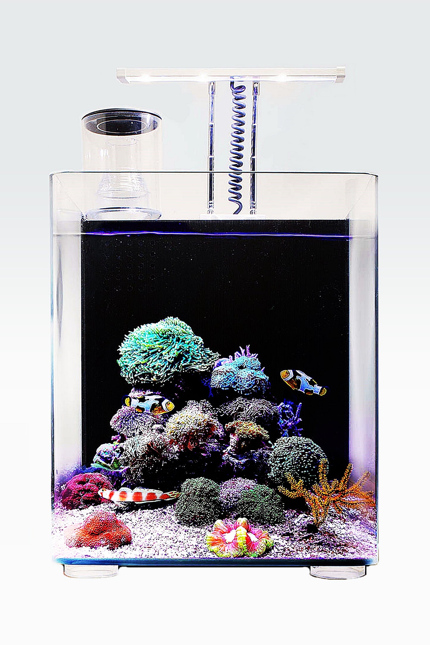 Nano Acuario Marino OceanFree (16 litros)