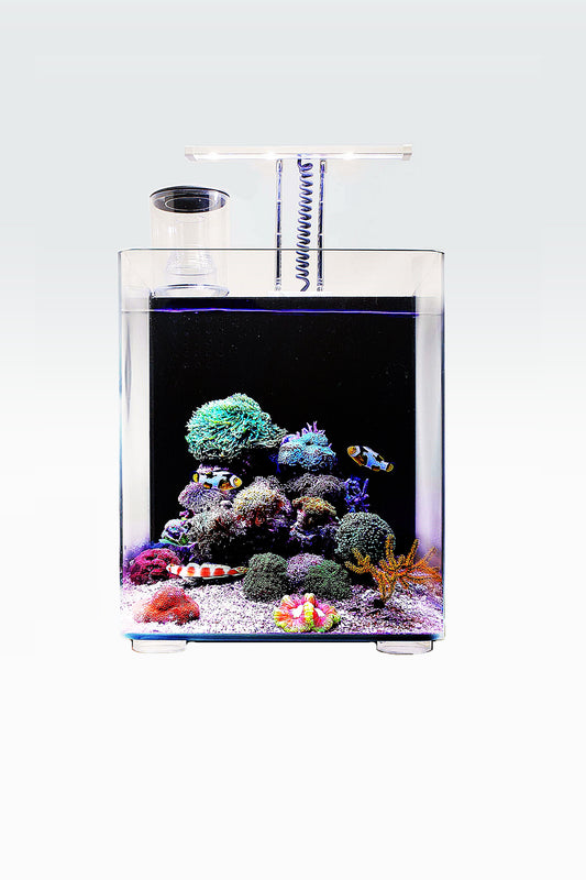 Nano Acuario Marino OceanFree (24 litros)