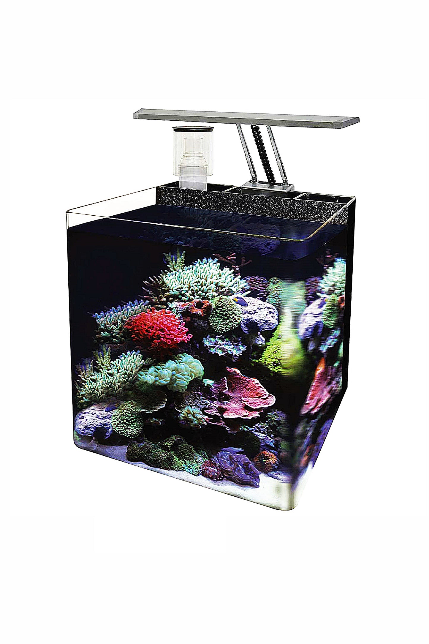 Nano Acuario Marino OceanFree (24 litros)