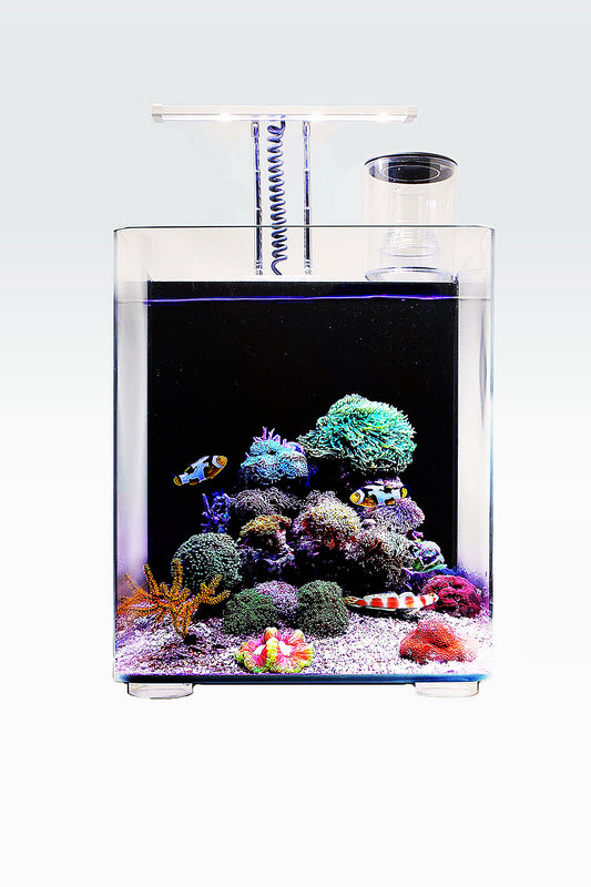 Nano Acuario Marino OceanFree (34 litros)