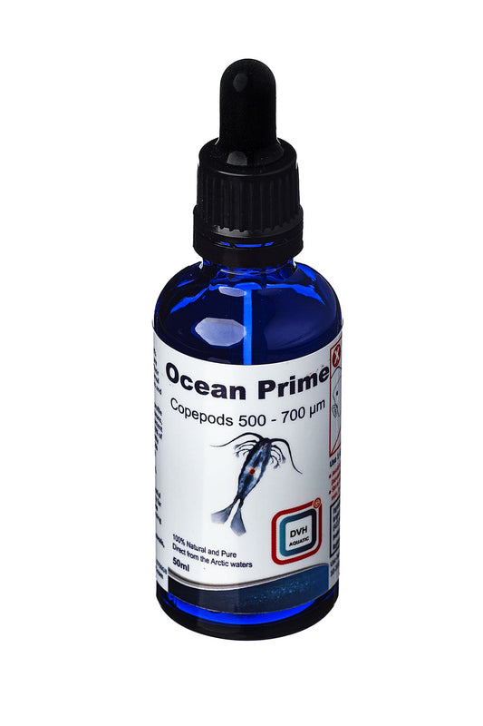 Zooplâncton: Ocean Prime Copepods 500 700µm DVH (50 ml)