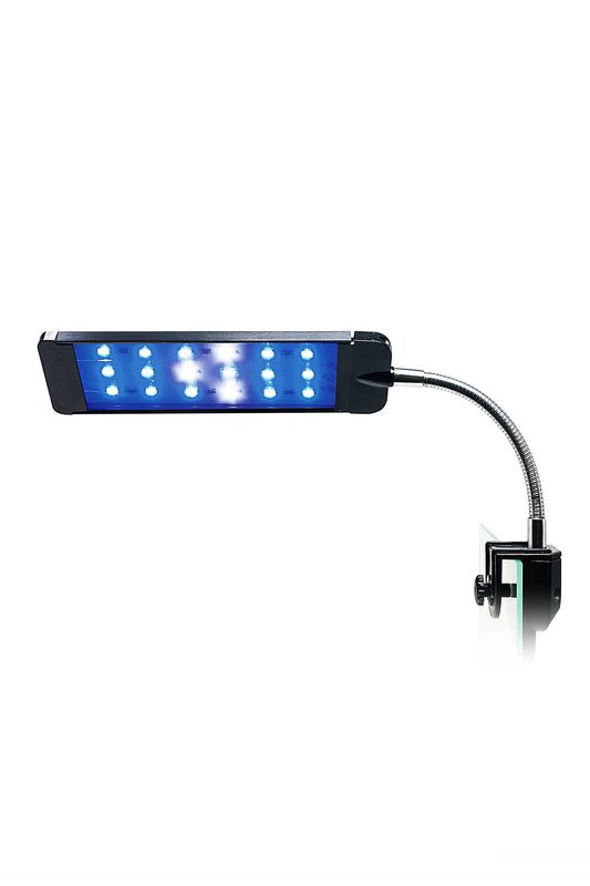 Lâmpada LED Nano Coral (9 W)