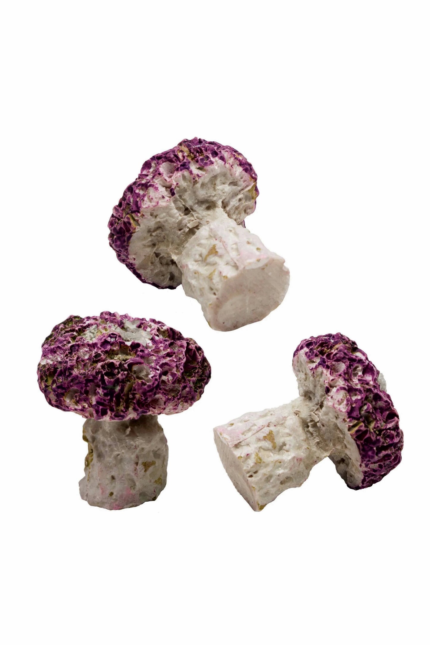 Coral Plugs AquaOcean