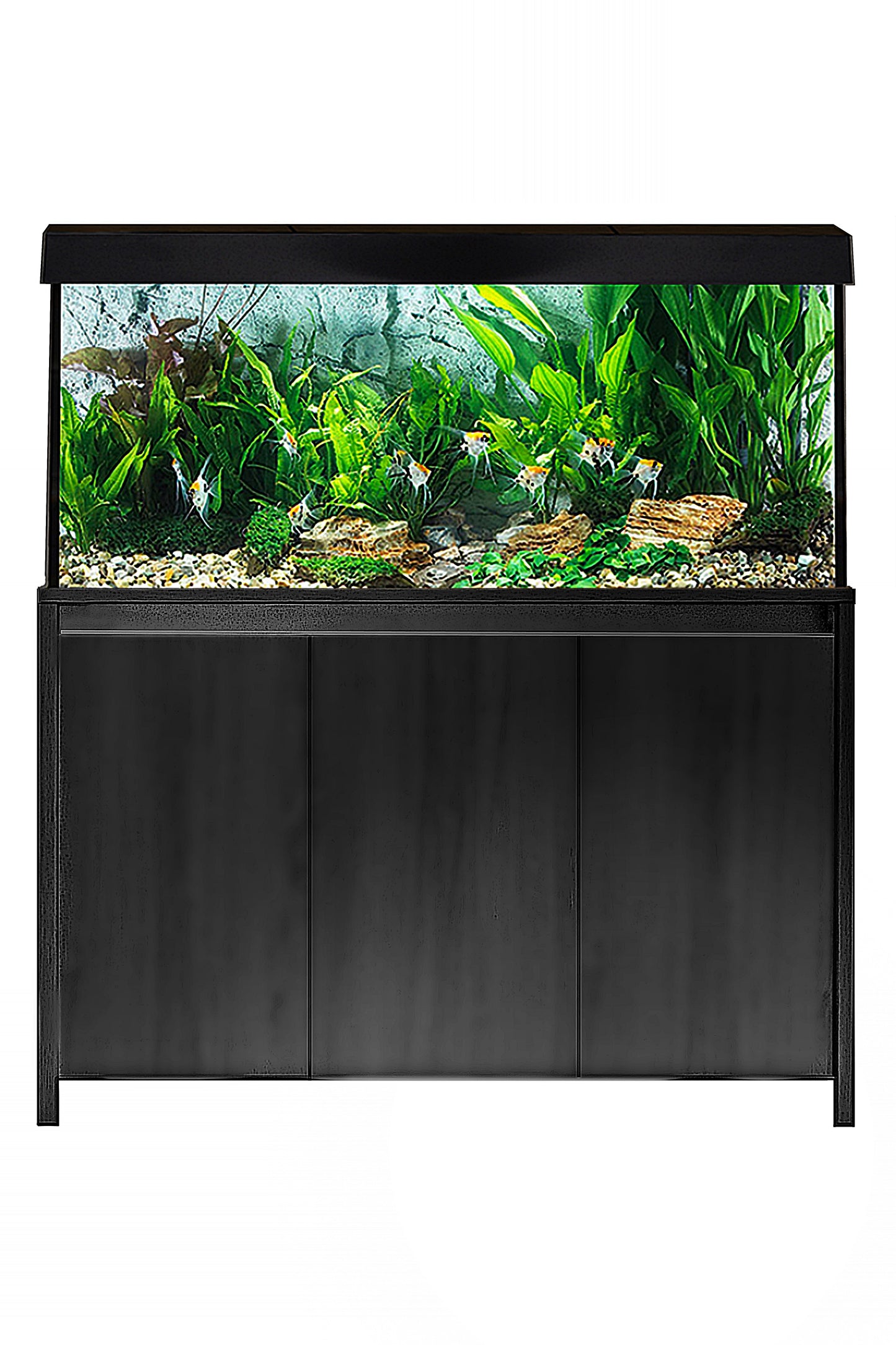 Acuario Roma 240 litros con mueble Negro