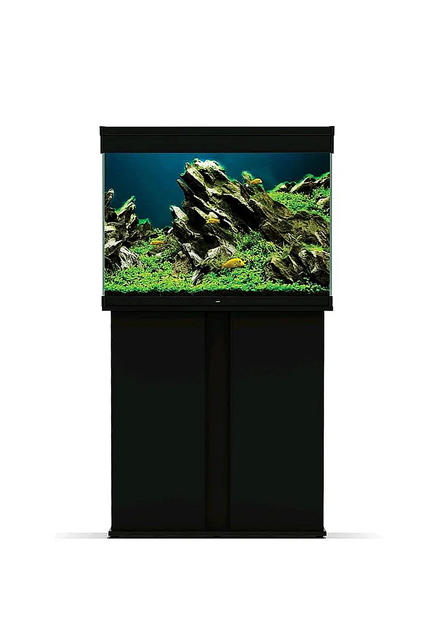 Emotions 60 PRO Schwarz - Tisch und Aquarium