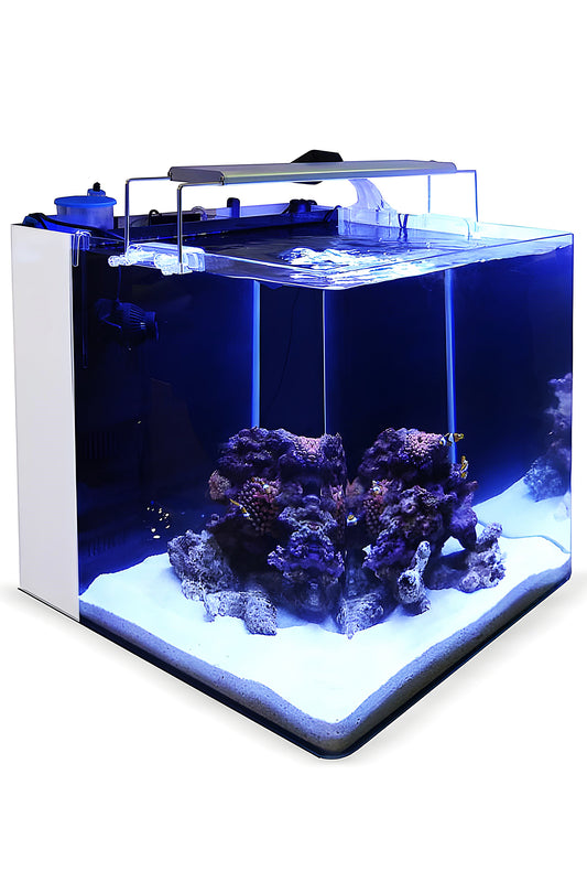 All-in-One-Aquarium 91 Marineweiß