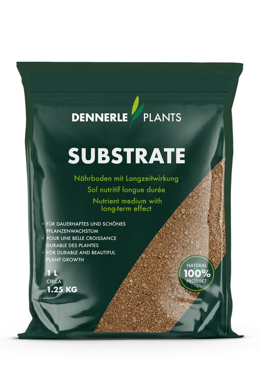 Dennerle Plants Substrate -  1 litro