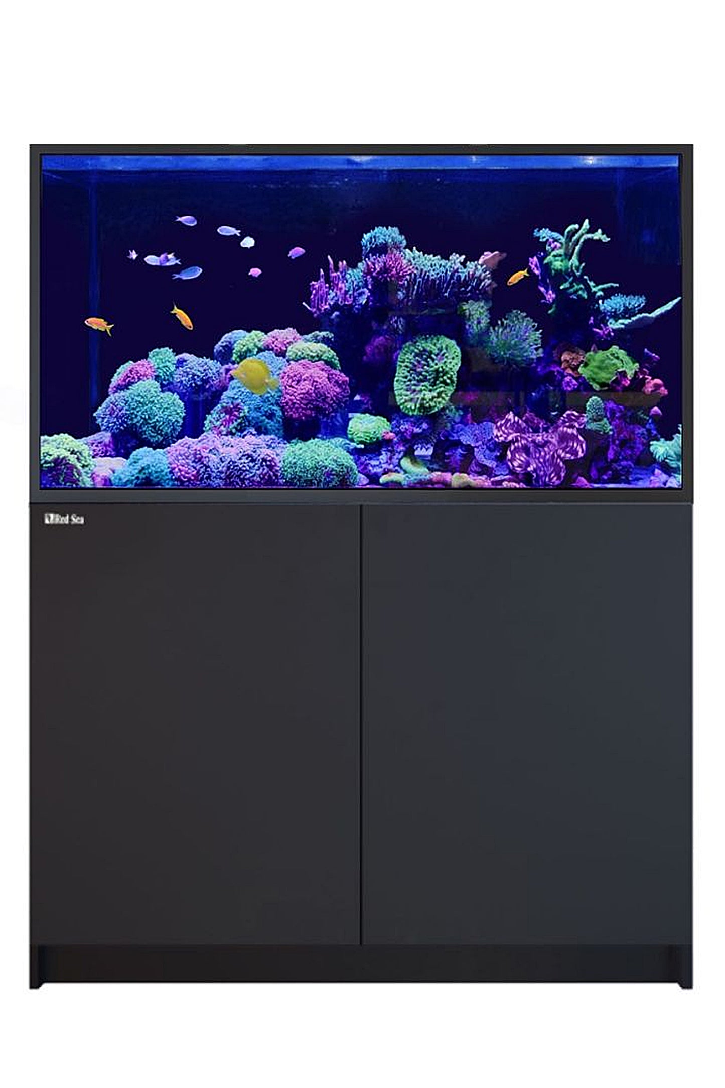 REEFER™ G2+ S Aquarium – 550 in Schwarz, 448 Liter