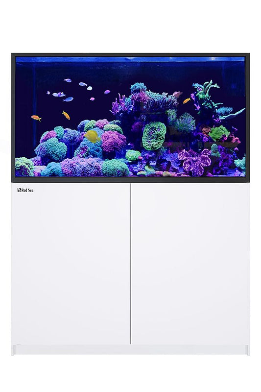 Acuario REEFER™ G2+ S - 550 en Blanco 448 litros