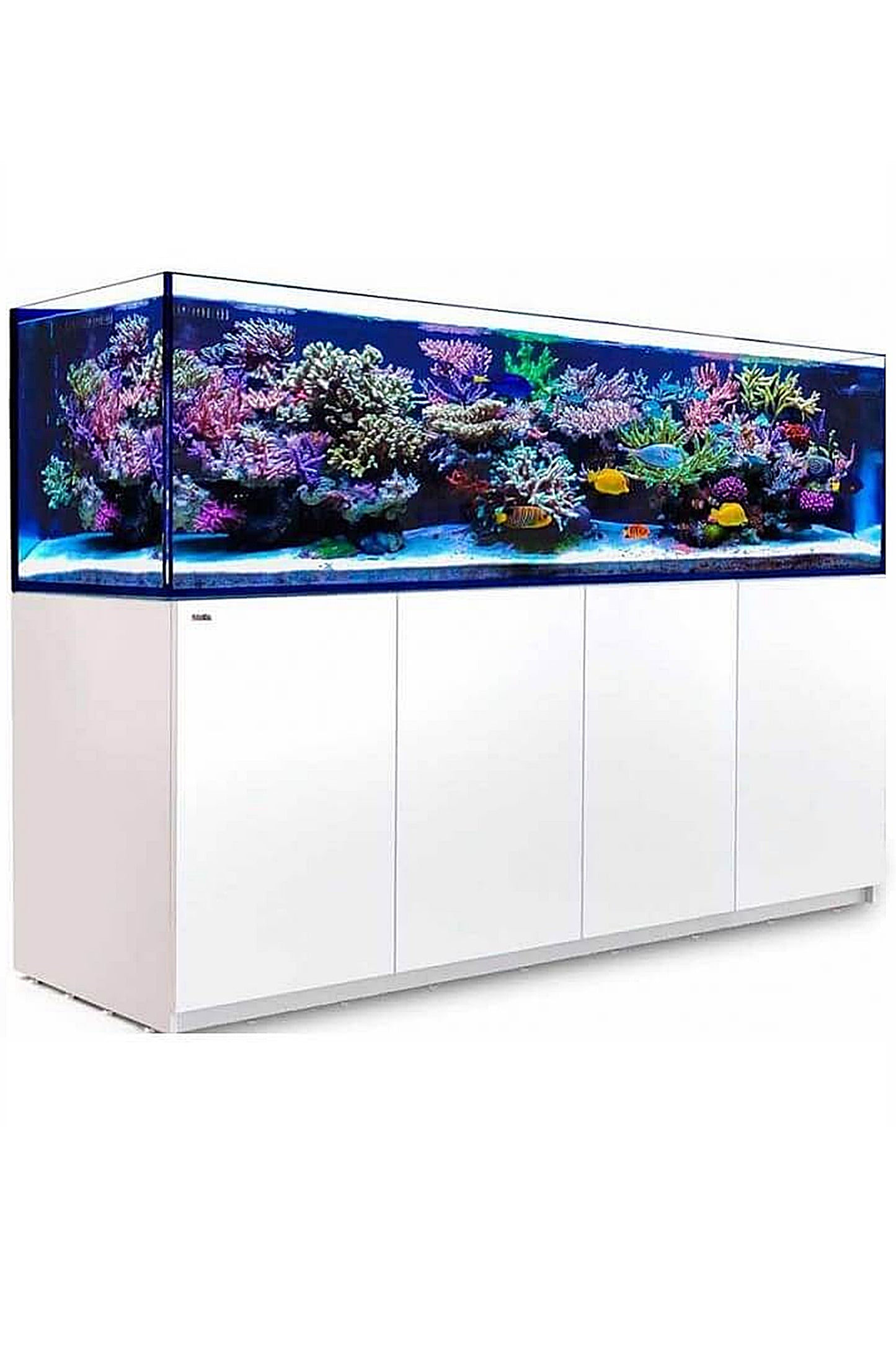 Acuario REEFER™ G2+ 3XL 900 en Blanco 720 litros