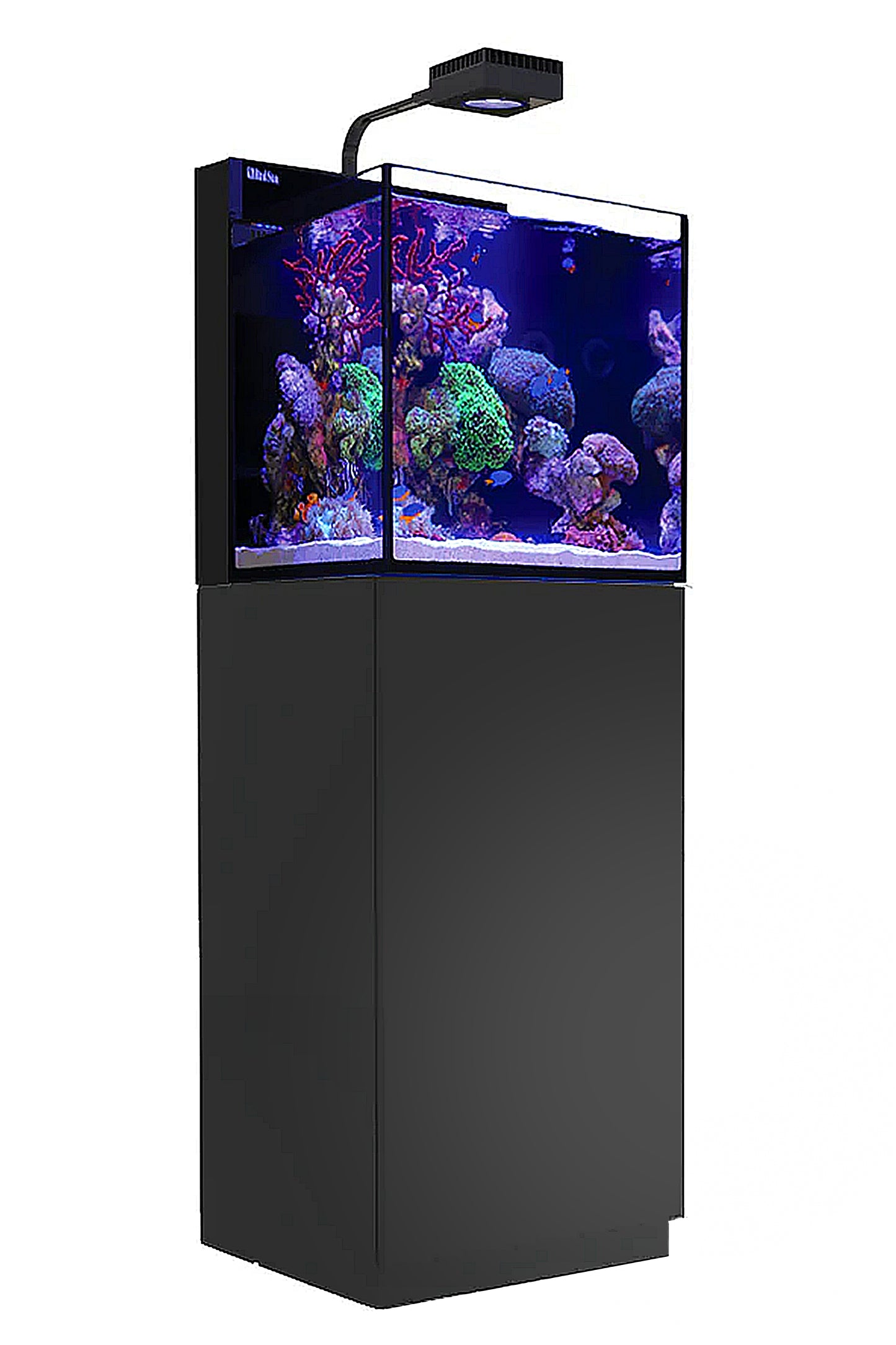 MAX NANO Peninsula Aquarium (mit ReefLED mit schwarzem Tisch) 75 Liter