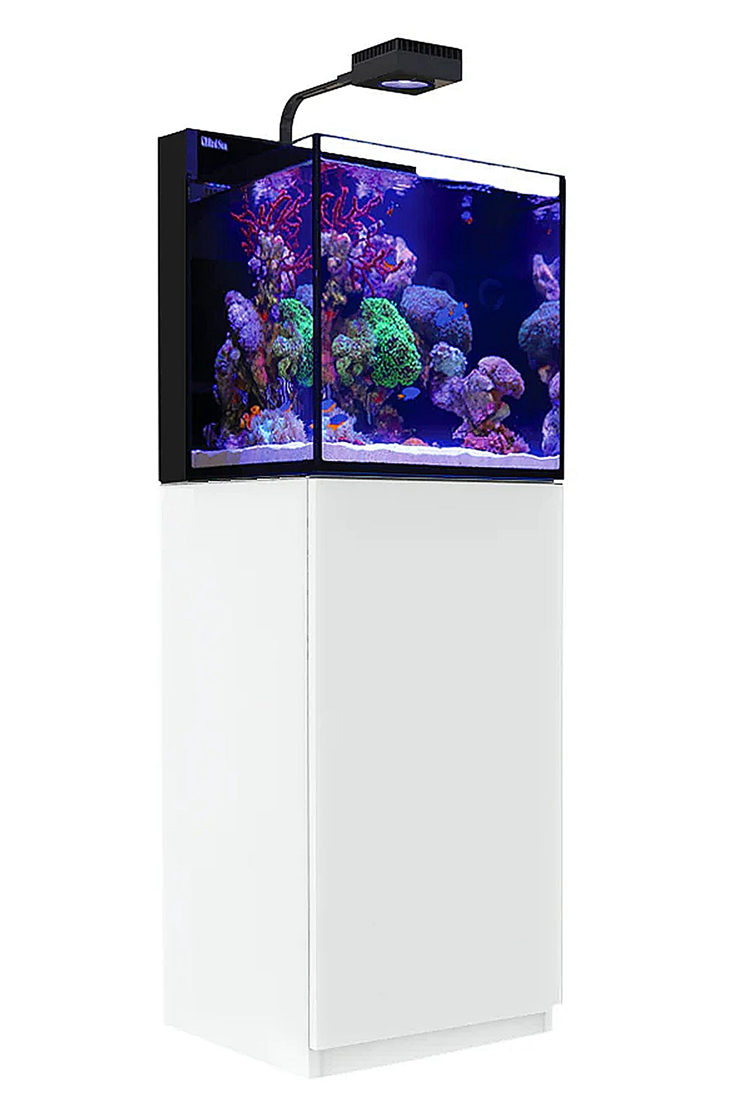 Acuario MAX NANO Península (con ReefLED con mesa blanca) 75 litros