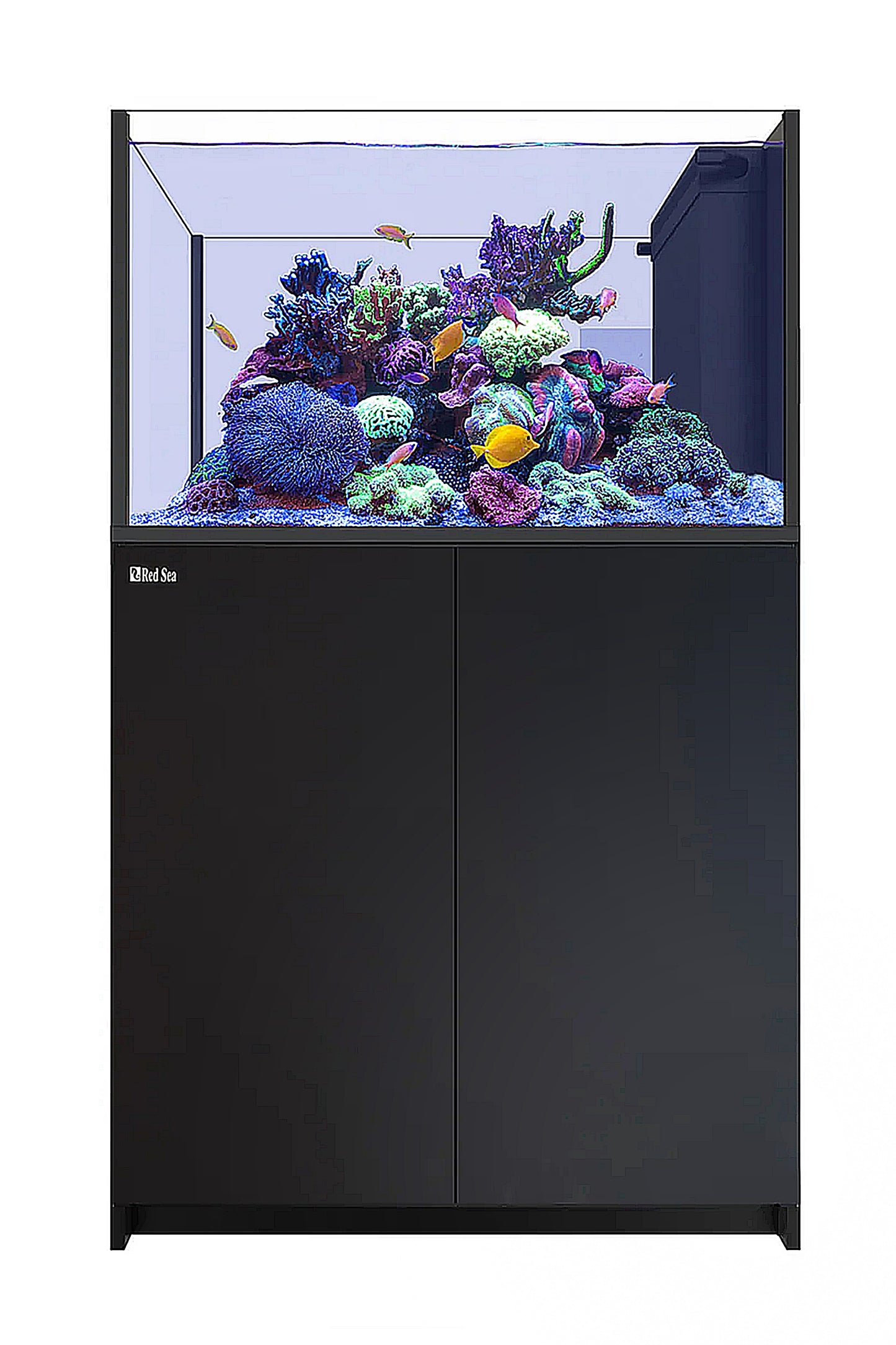 REEFER™ Peninsula G2 + 350 Aquarium in Schwarz 278 Liter