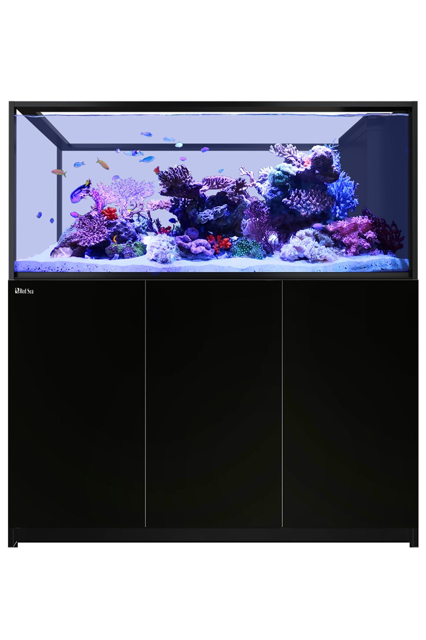 REEFER™ Peninsula G2 + S700 Aquarium in Schwarz 568 Liter