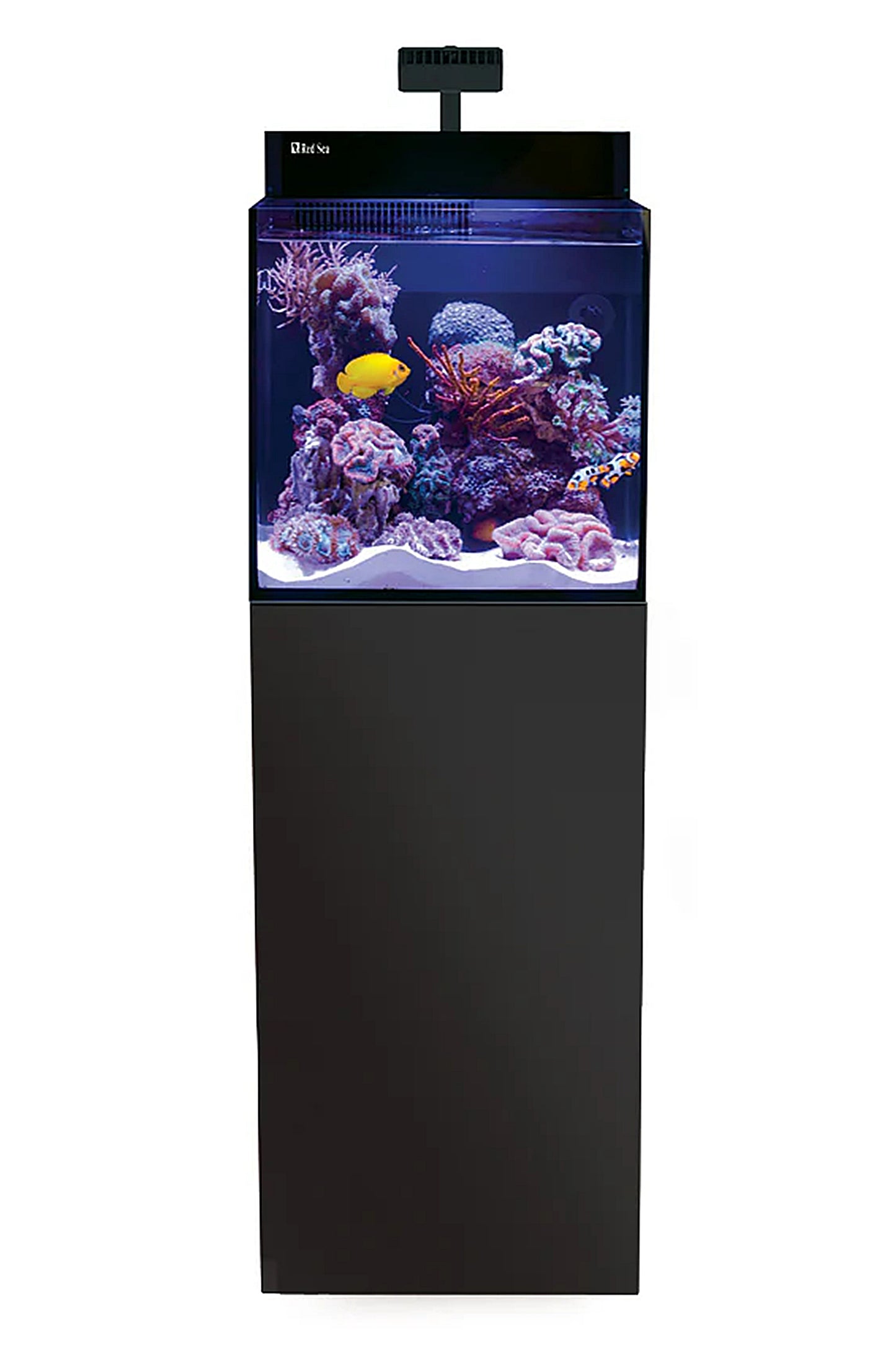 Acuario MAX NANO G2 (con ReefLED con mesa negra) de 75 litros