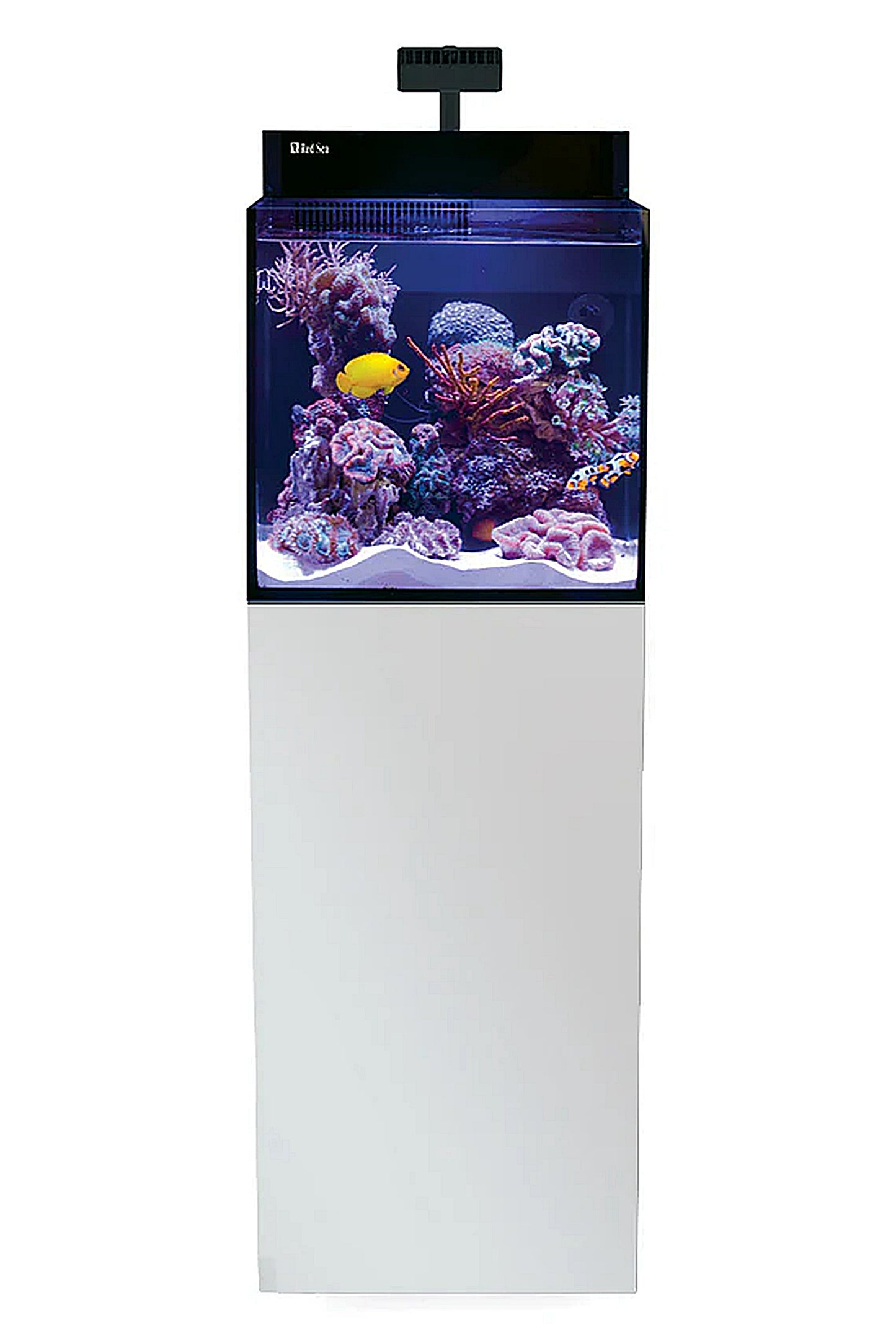 Acuario MAX NANO G2 (con ReefLED con mesa blanca) de 75 litros