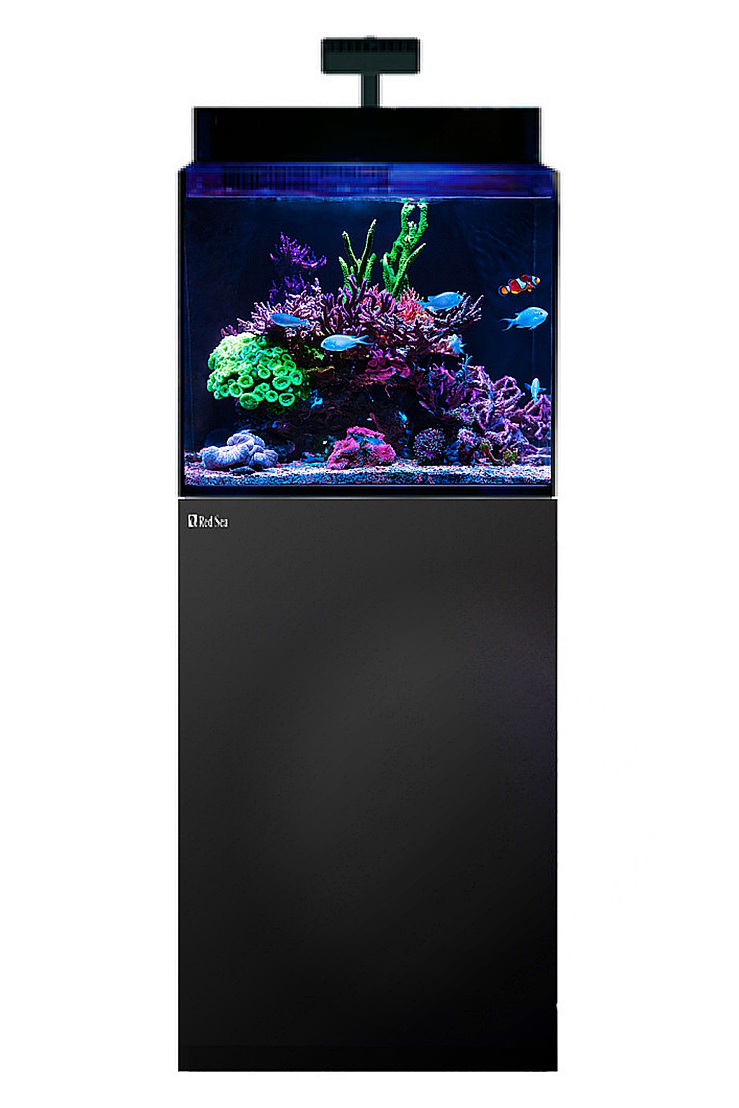 MAX NANO XL G2 Aquarium (mit ReefLED mit schwarzem Tisch) 127 Liter