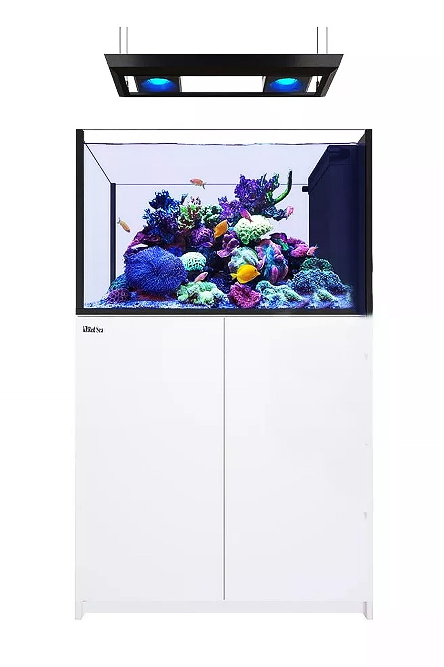 Acuario REEFER™ Península 350Blanco 2 x Reef Led 90W SOPORTE TECHO LED ReefClean300