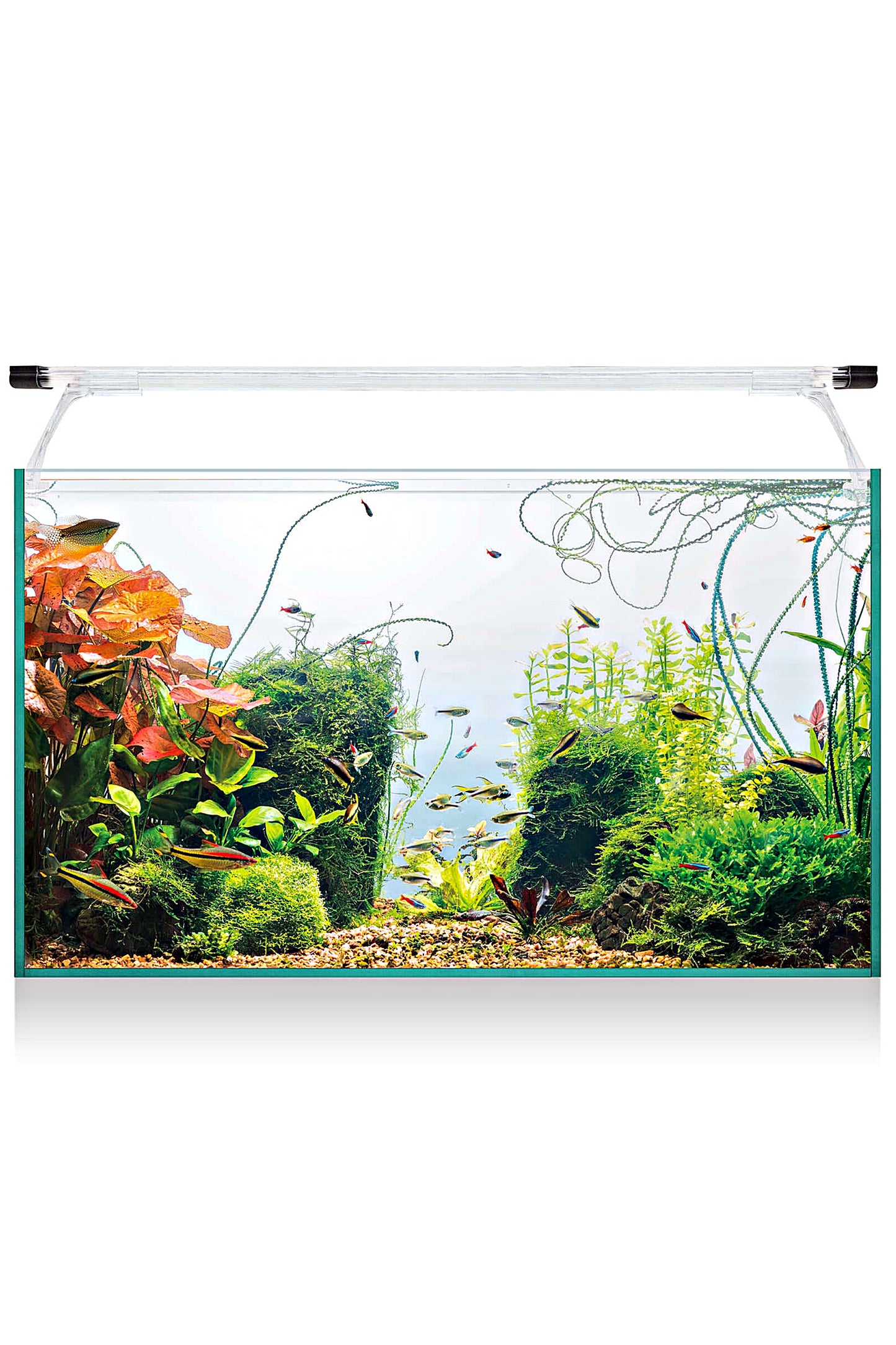 Acuario Kit Aqua Light Glass 60 (52 litros)