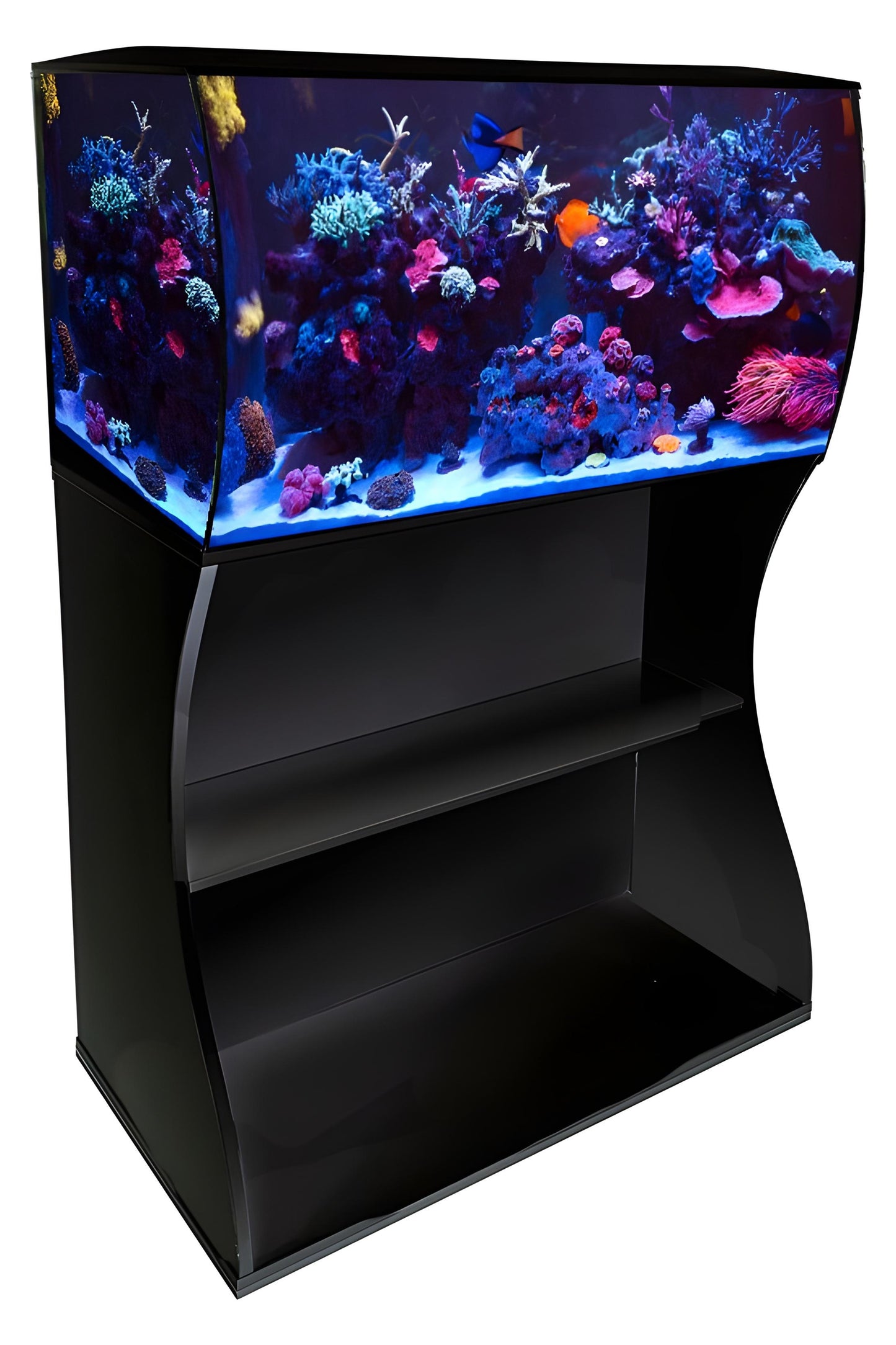 Acuario Marino Fluval FLEX de 123 litros con mueble negro