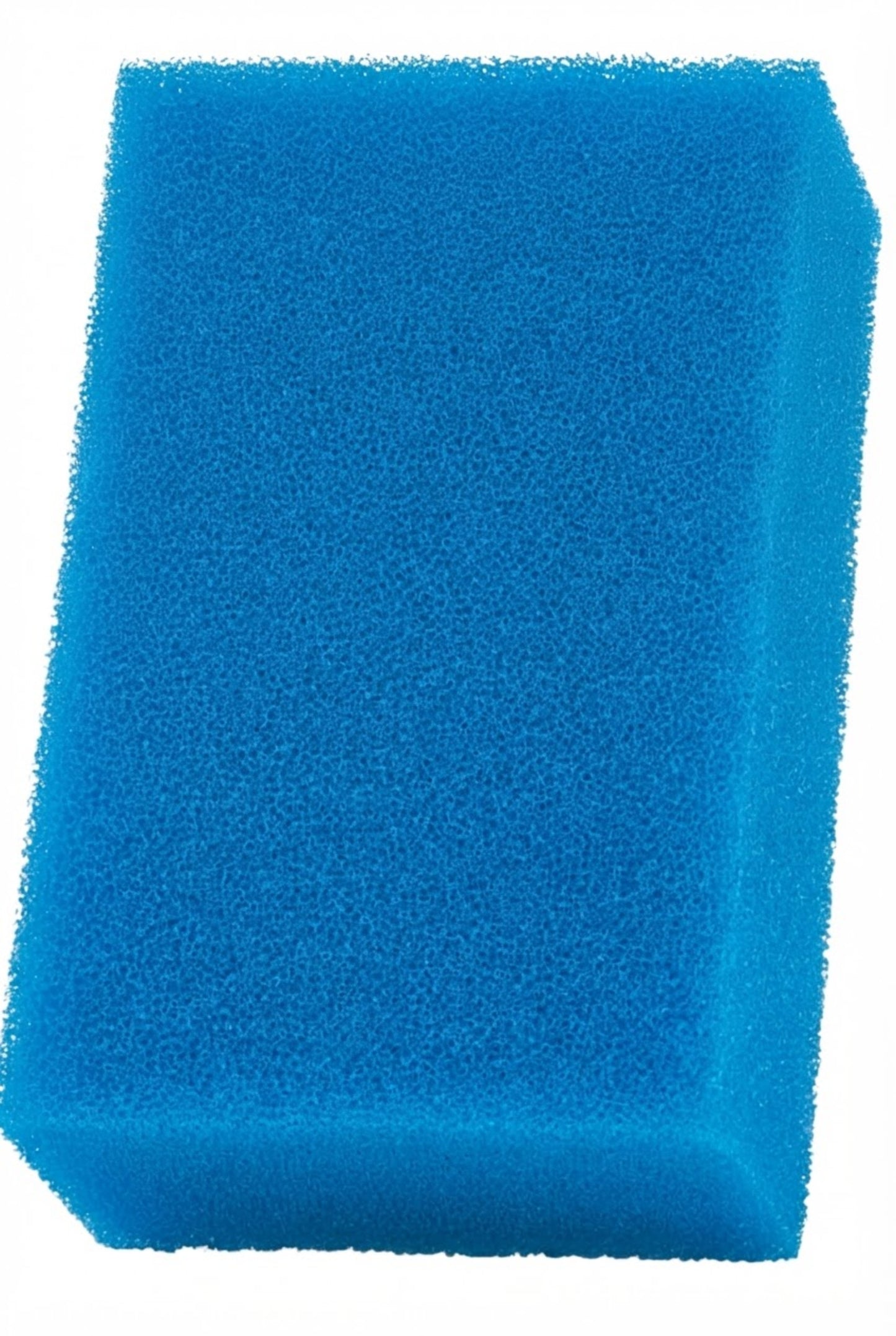 Material filtrante para filtro Fluval AC50 Pack Ahorro Bio-Esponja Azul 3 ud.