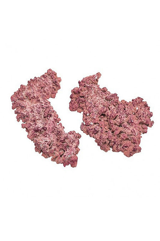 ¡AquaForest Rock al peso! (€/kg)