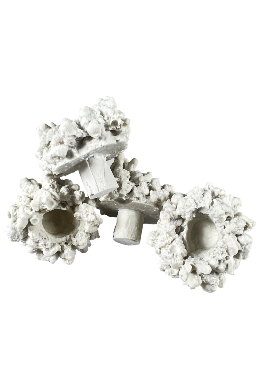AquaMedic - Coral Pins 10 Piezas - 230.06