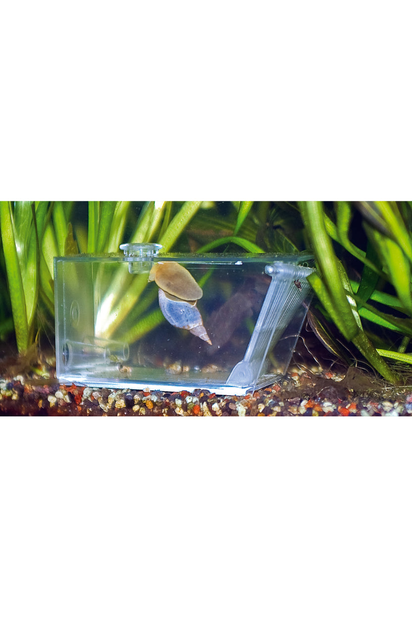 AquaMedic - Trap Pest - 501.81