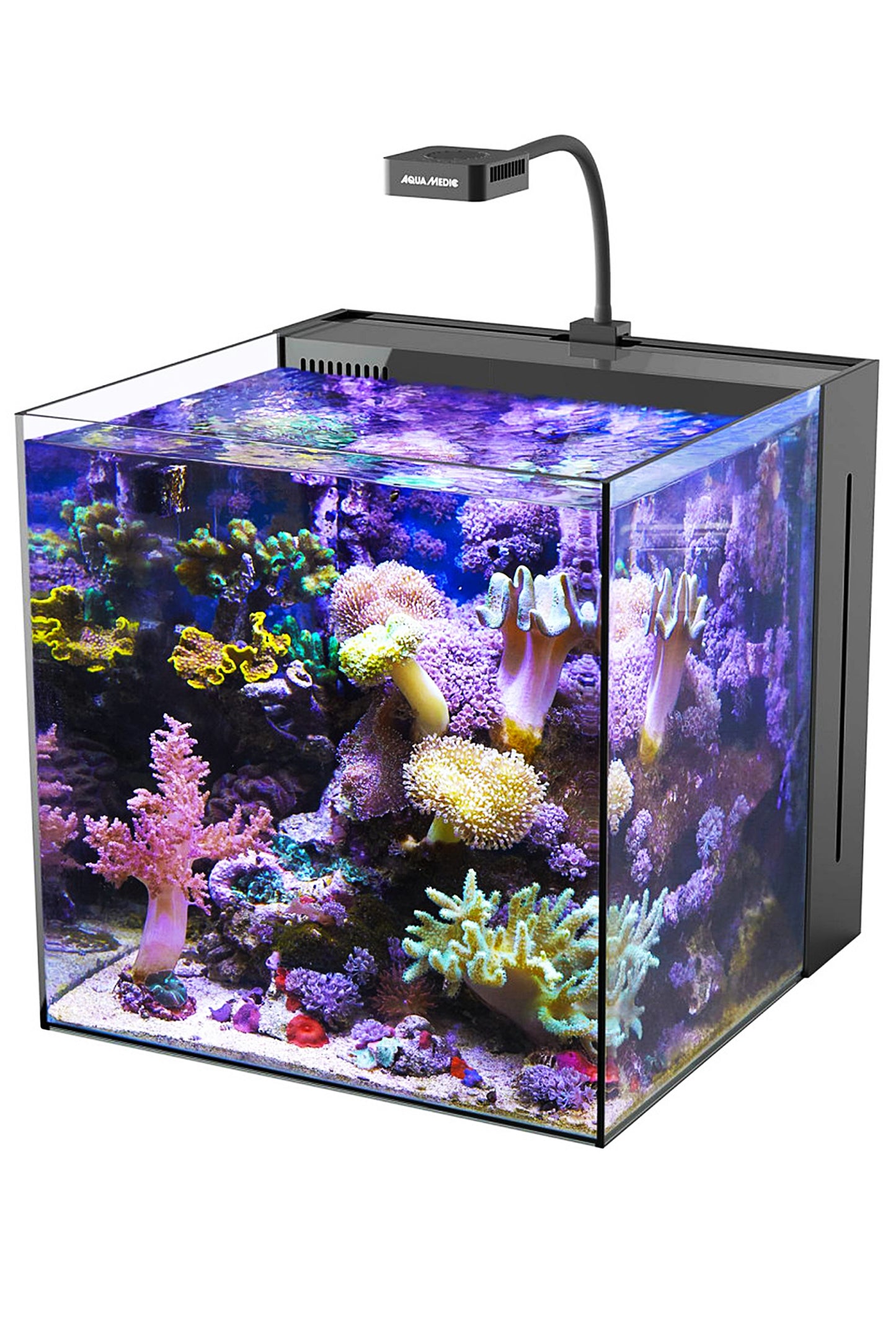 AquaMedic - Acuario Yasha de 60 litros