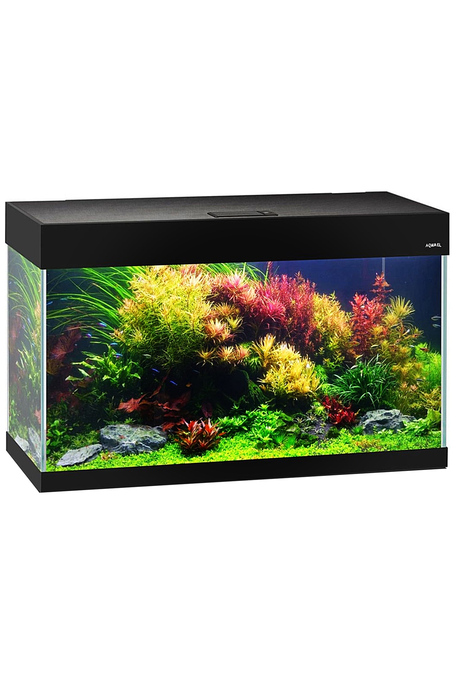 AQUAEL - Acuario Optiset 125 litros - Negro