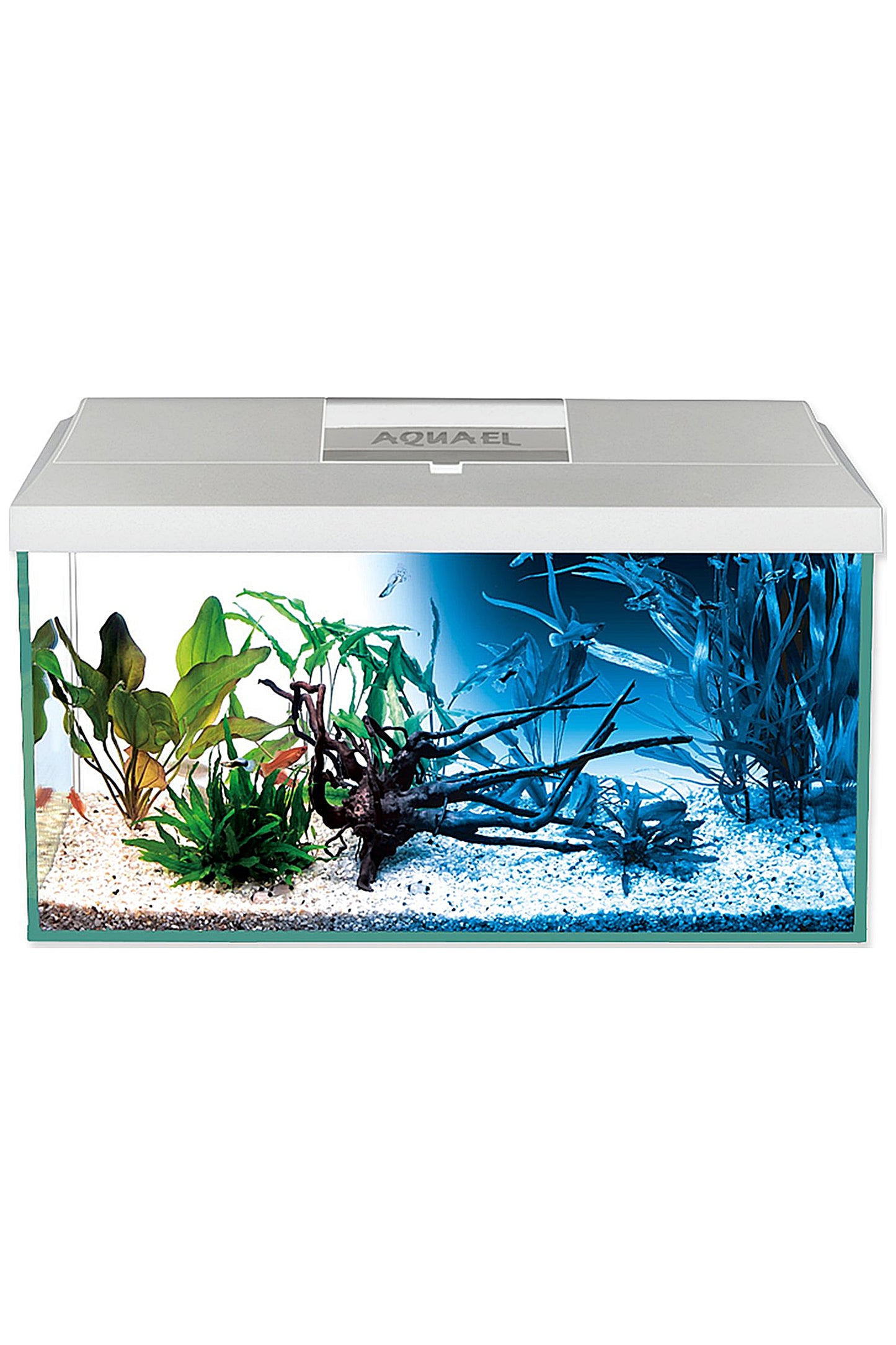 Aquarium-Kit LEDDY D&amp;N 60 Weiß 54 Liter