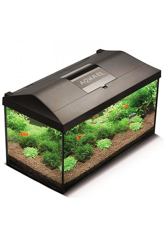 Acuario Kit LEDDY D&N 60 Negro de 54 litros