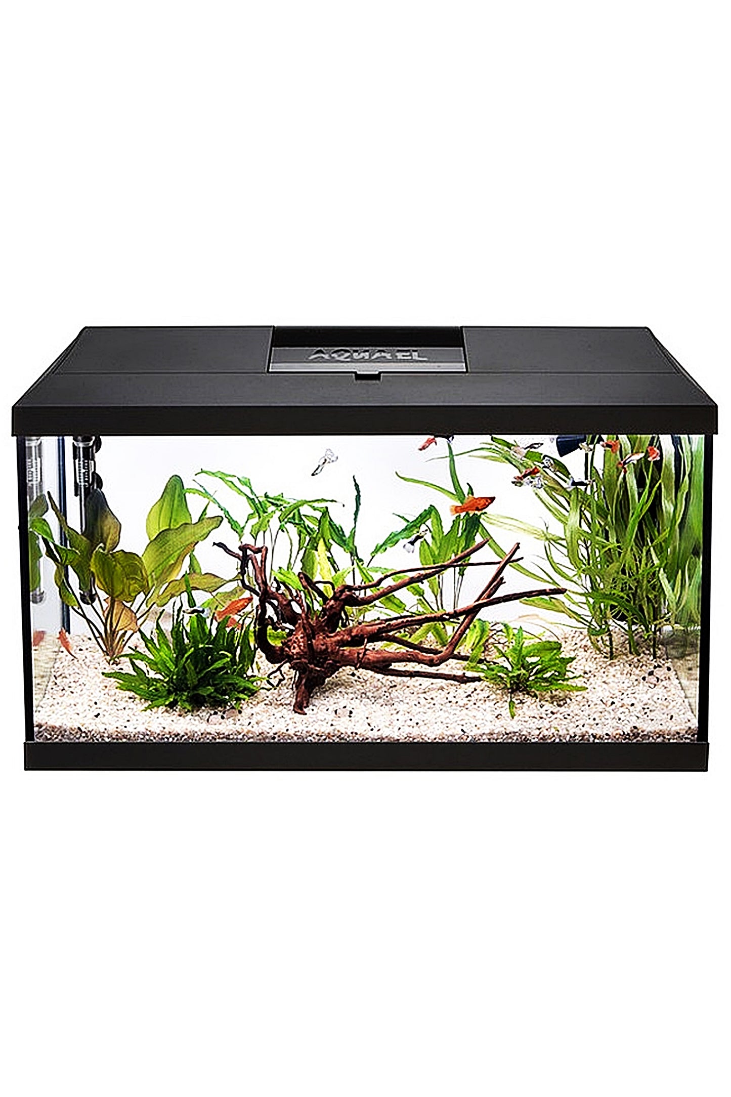 Acuario Kit LEDDY D&N 60 Negro de 54 litros