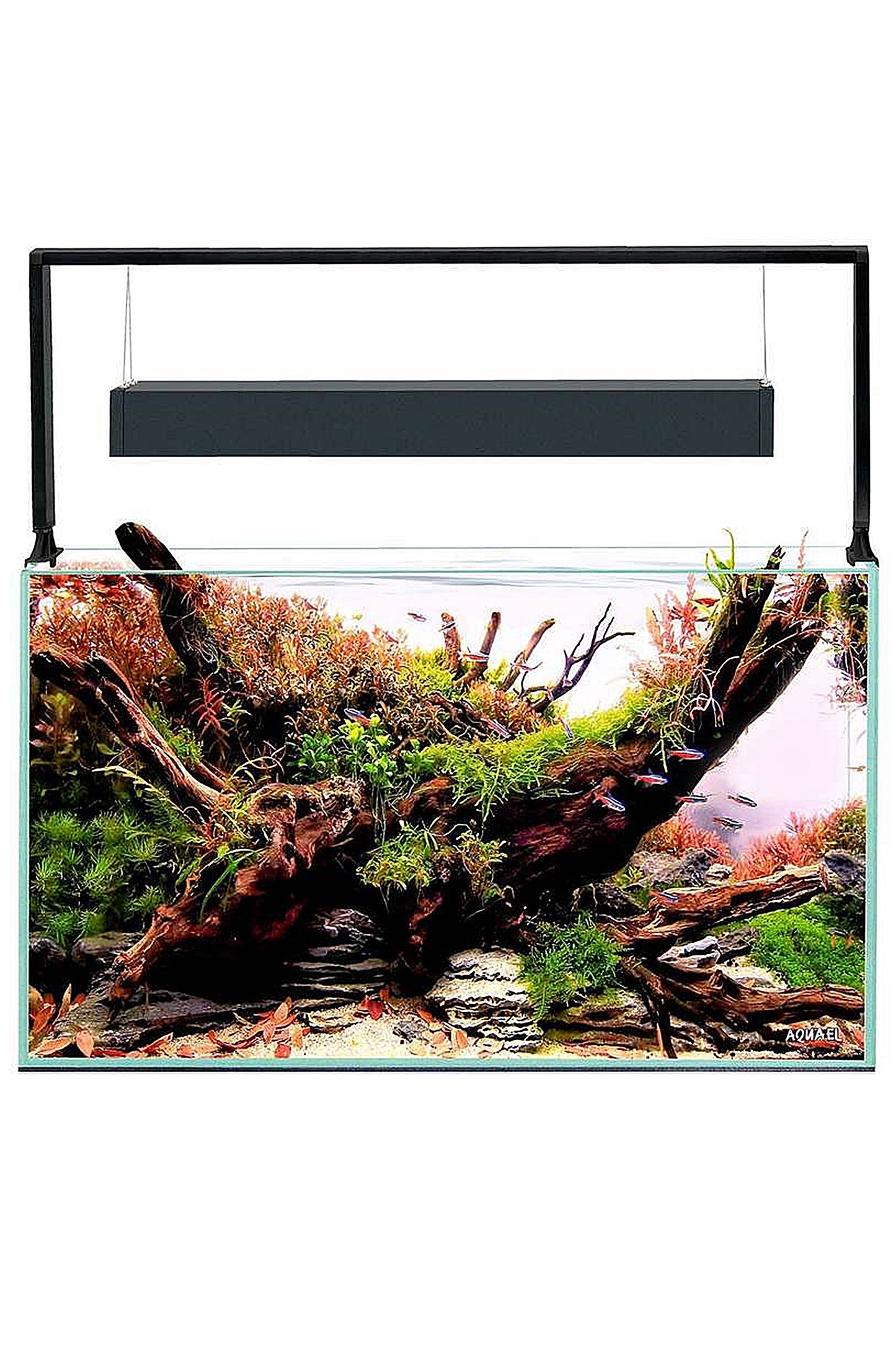 AQUAEL - Ultrascape 60 Waldaquarium-Set mit 65 Litern