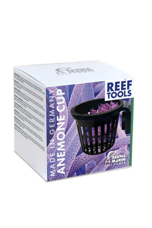 Fauna Marin - Anemone CUP