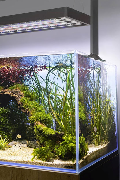AQUAEL - Ultrascape 90 Forest Set - Acuario de 243 litros con mueble
