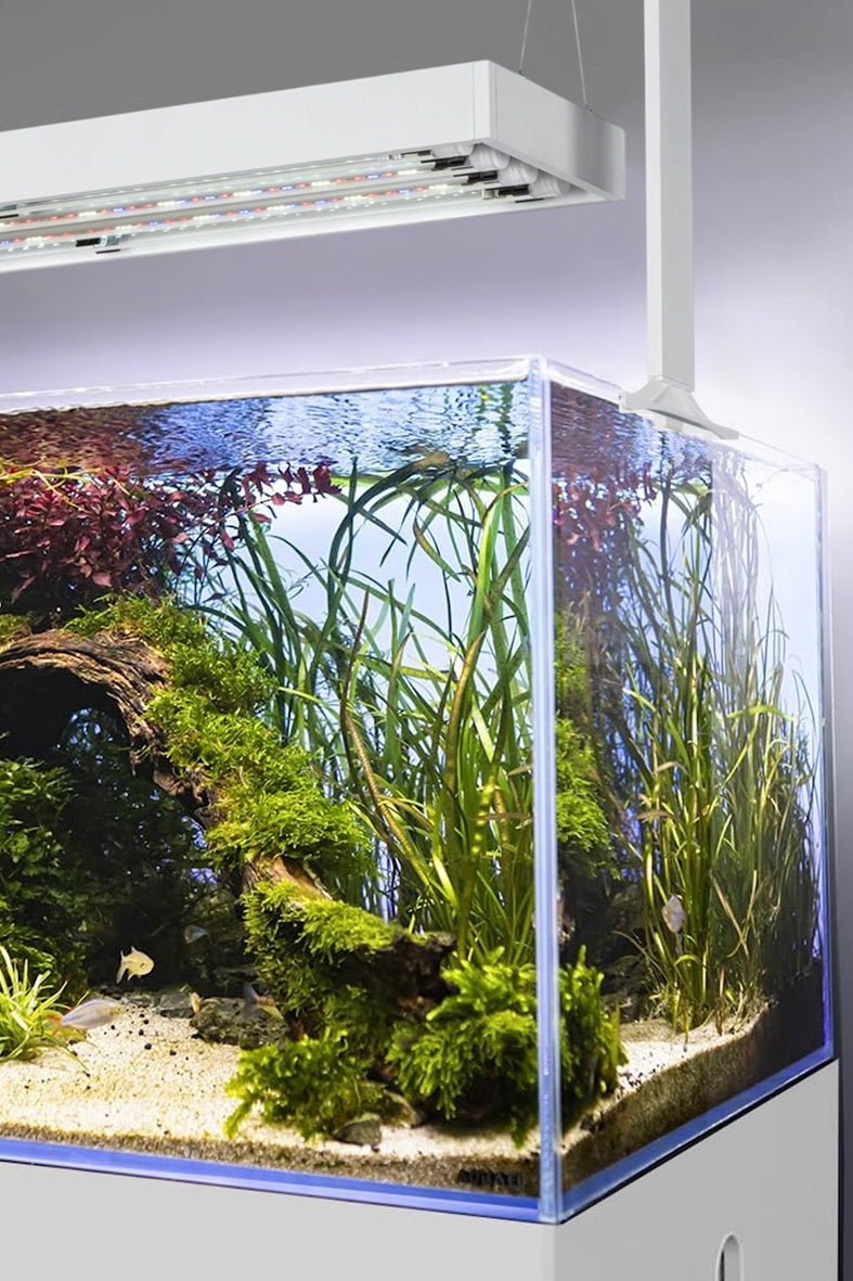 AQUAEL - Acuario Ultrascape 90 Snow Set de 243 litros