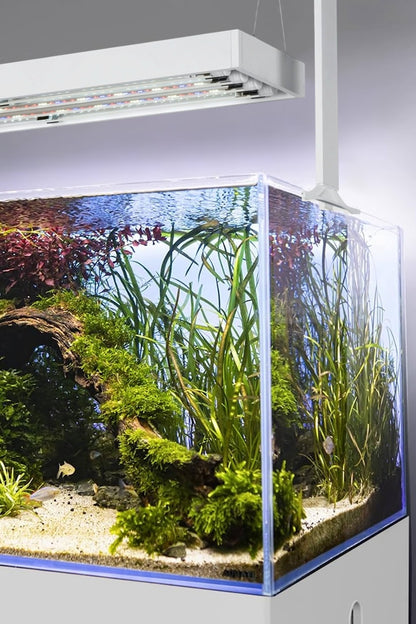 AQUAEL - Ultrascape 90 Snow Set - Acuario de 243 litros con mueble