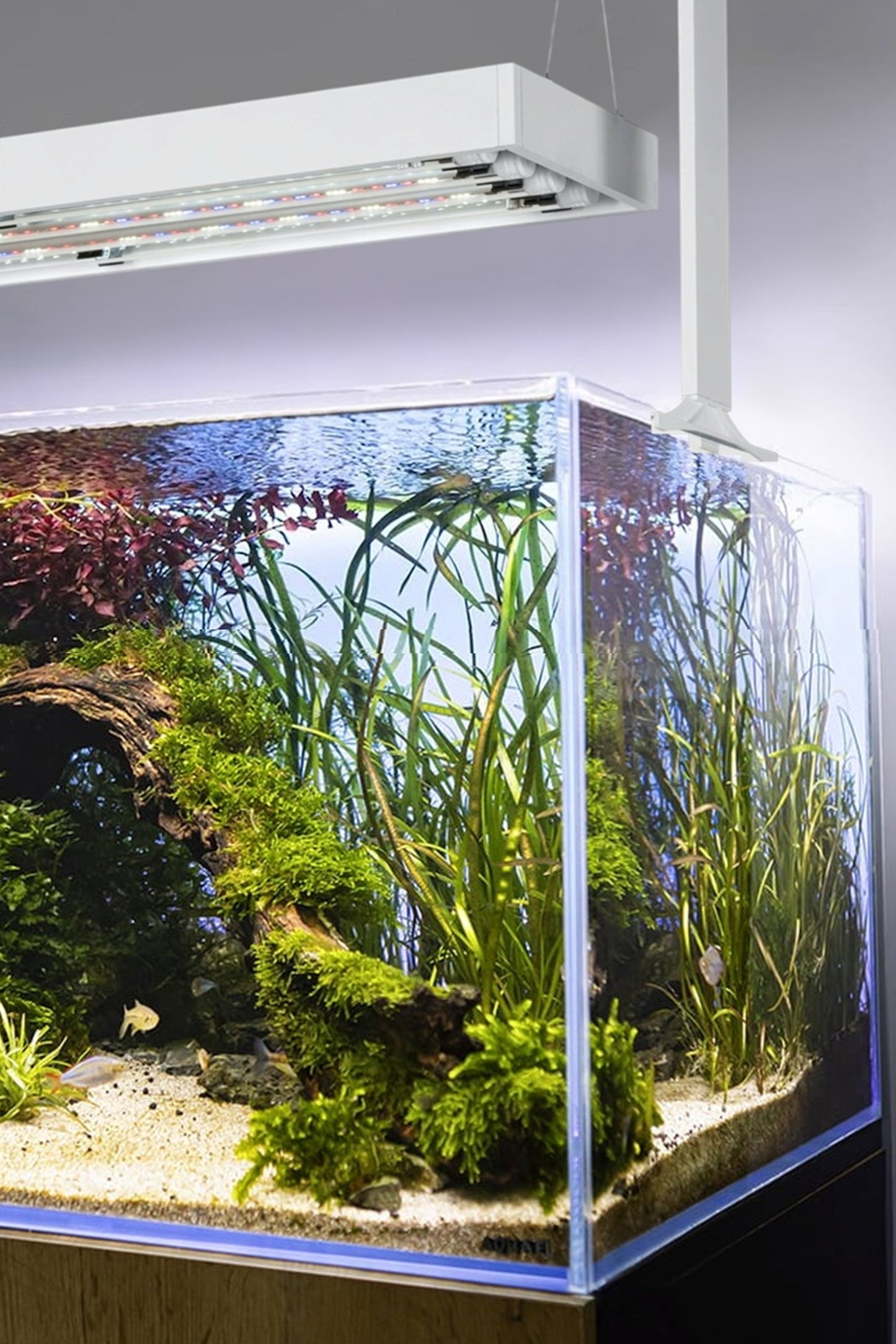 AQUAEL - Ultrascape 90 Set - Acuario Snow de 243 litros con mueble Forest