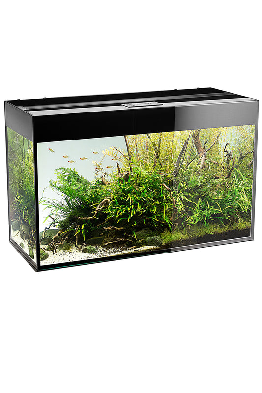 Acuario AQUAEL GLOSSY 100 BLACK de 215 litros