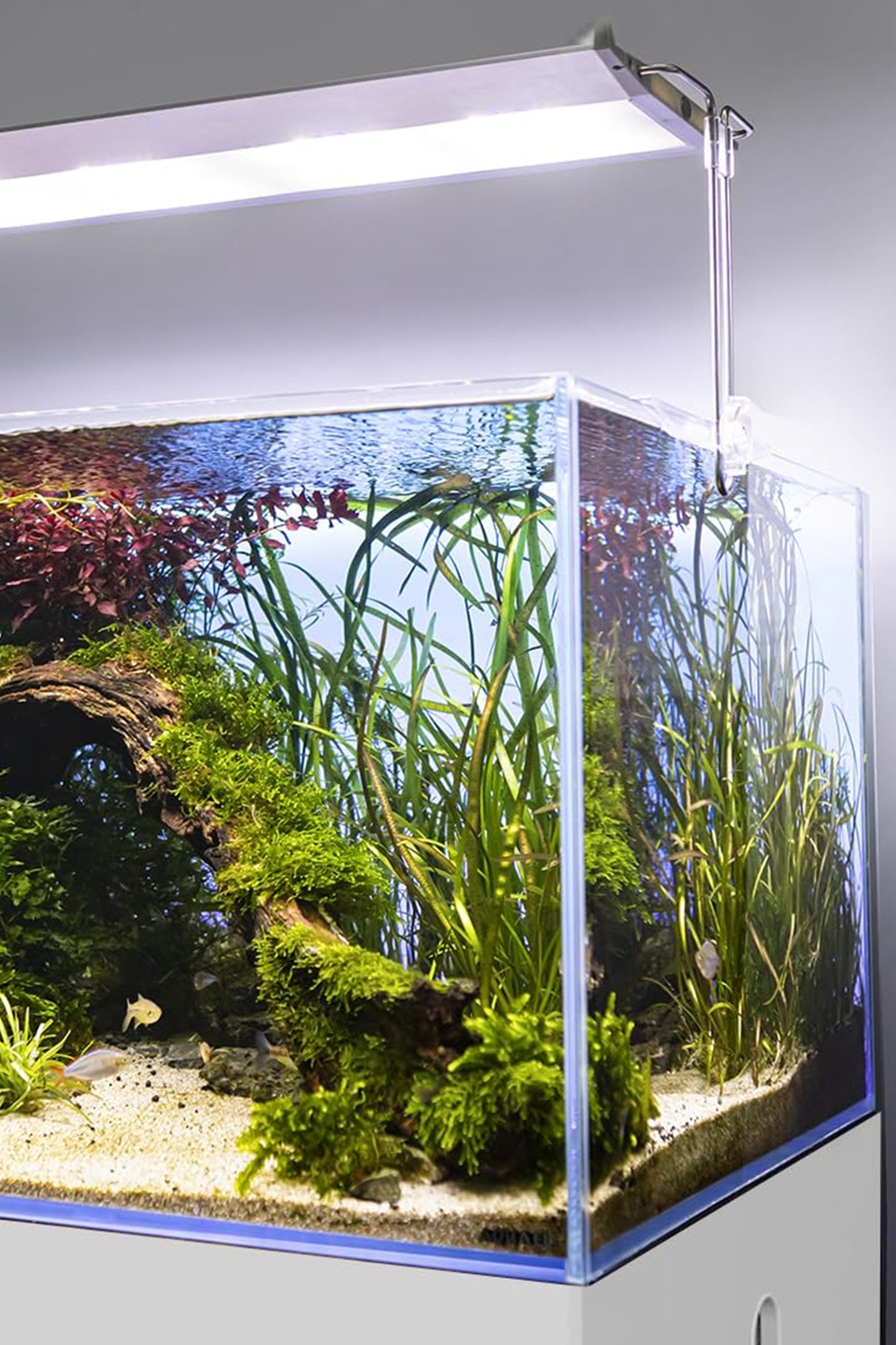 AQUAEL - Acuario Ultrascape 90 Diamond Edition de 243 litros