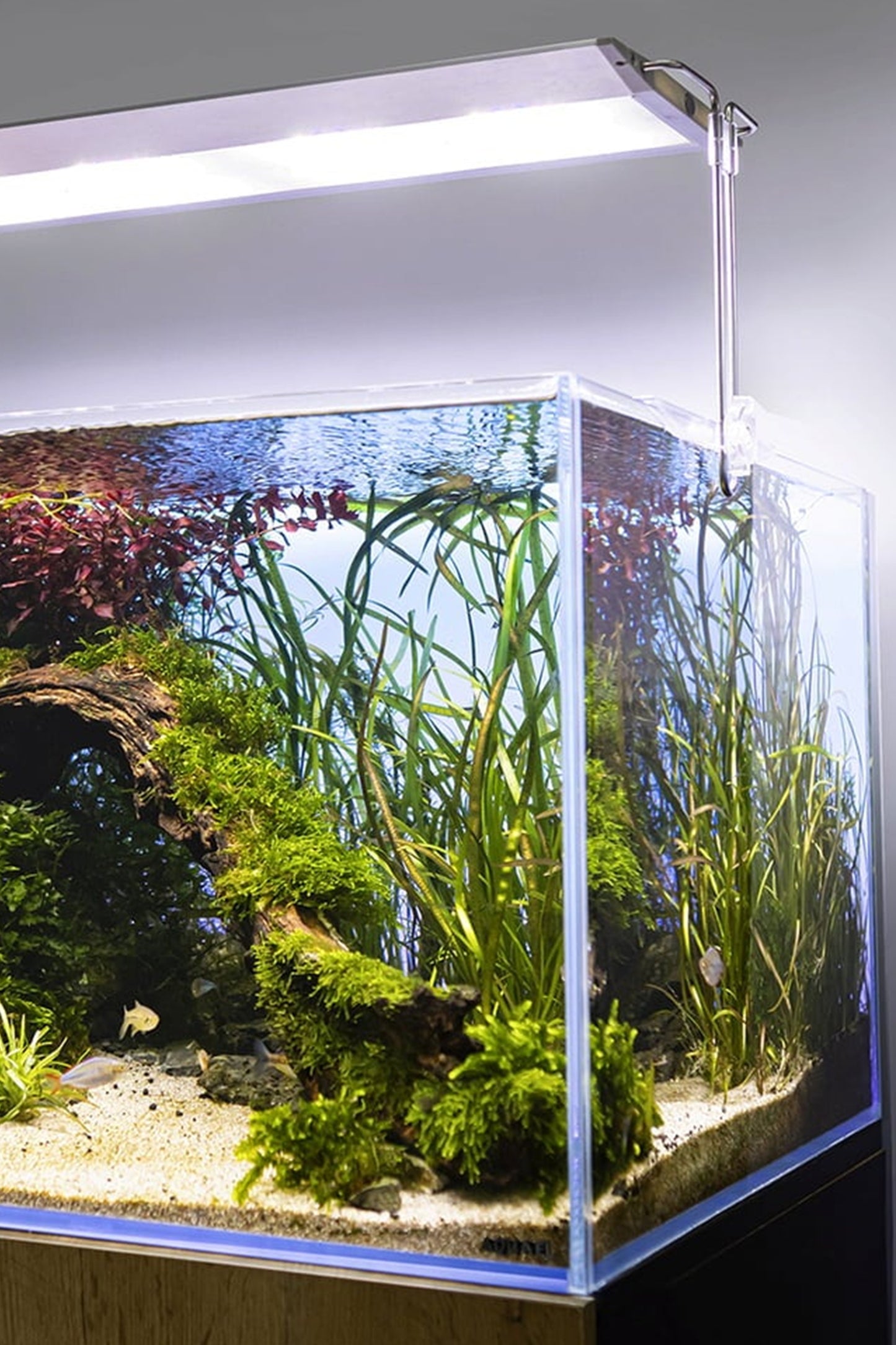 Acuario DIAMOND de 243 litros con mueble Forest