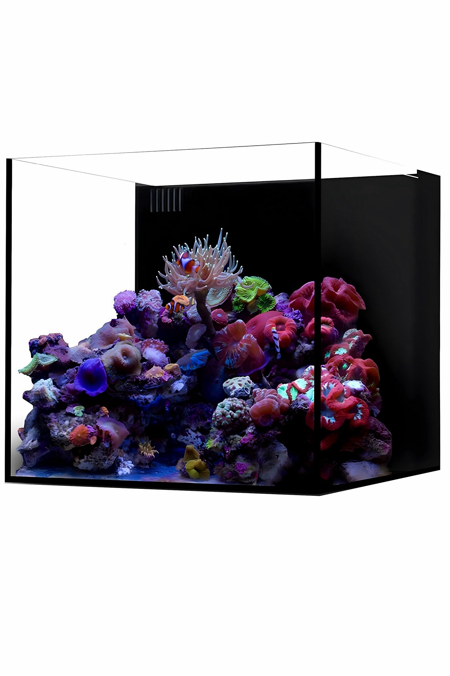 WATERBOX - Nuevo Acuario AIO 20 CUBE con mueble Negro de 76 litros