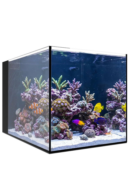 WATERBOX - Nuevo Acuario AIO 25 PENINSULA de 90 litros