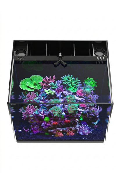 WATERBOX - Nuevo Acuario AIO 35.2 de 125 litros